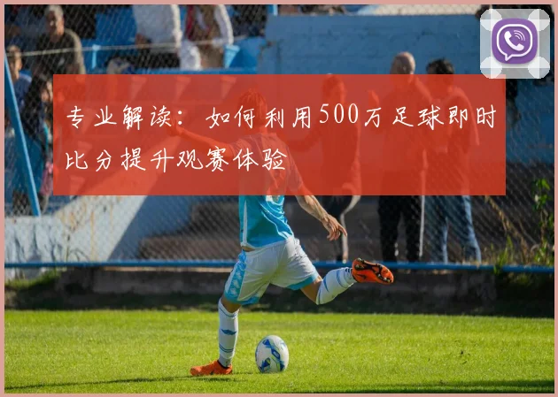 专业解读：如何利用500万足球即时比分提升观赛体验