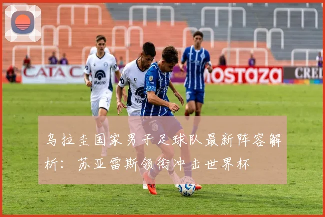 乌拉圭国家男子足球队最新阵容解析:苏亚雷斯领衔冲击世界杯
