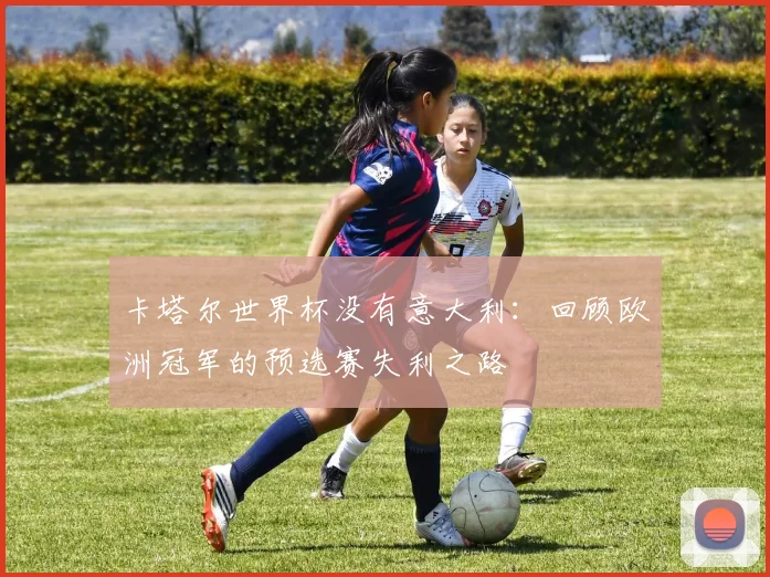 卡塔尔世界杯没有意大利：回顾欧洲冠军的预选赛失利之路