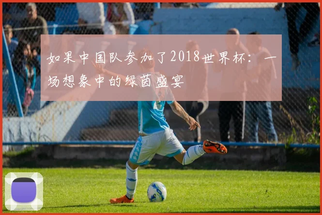 如果中国队参加了2018世界杯：一场想象中的绿茵盛宴