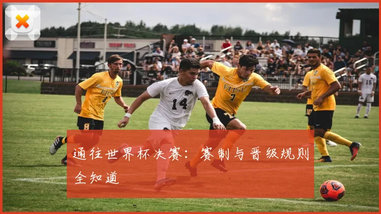 通往世界杯决赛：赛制与晋级规则全知道