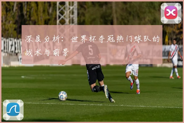 深度分析：世界杯夺冠热门球队的战术与前景