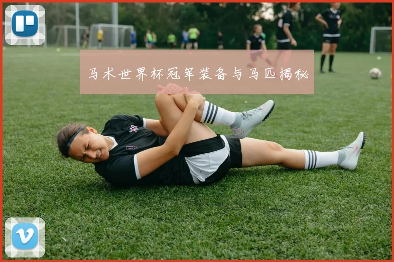 马术世界杯冠军装备与马匹揭秘