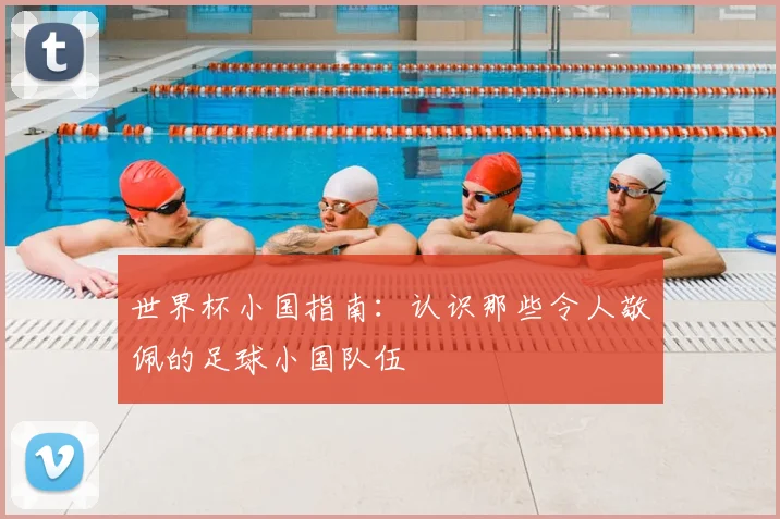世界杯小国指南：认识那些令人敬佩的足球小国队伍