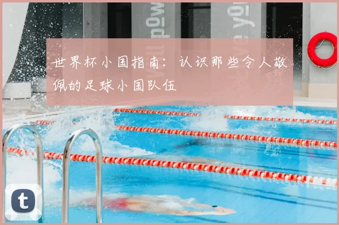 世界杯小国指南:认识那些令人敬佩的足球小国队伍