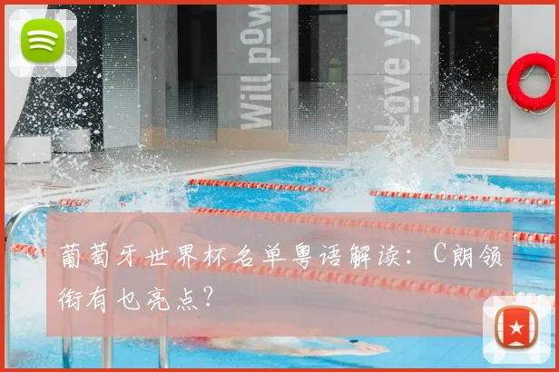 葡萄牙世界杯名单粤语解读：C朗领衔有乜亮点？