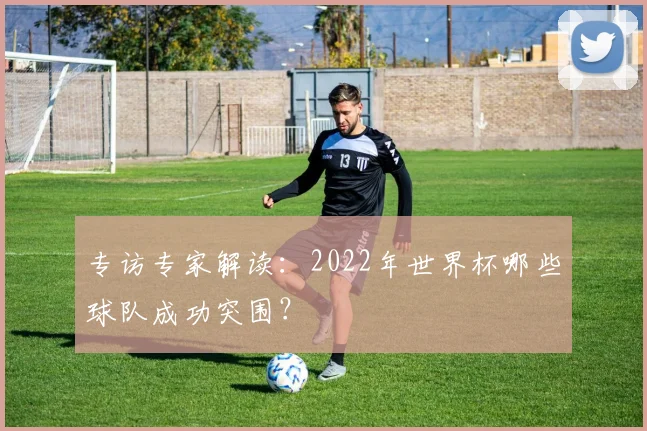 专访专家解读：2022年世界杯哪些球队成功突围？