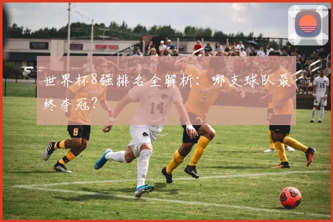 世界杯8强排名全解析:哪支球队最终夺冠?