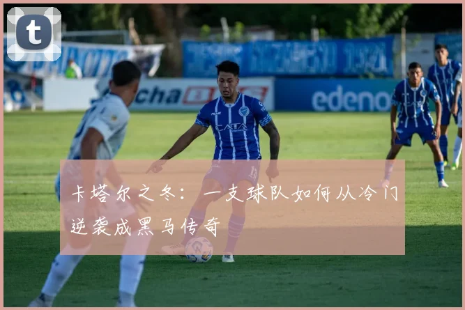 卡塔尔之冬：一支球队如何从冷门逆袭成黑马传奇