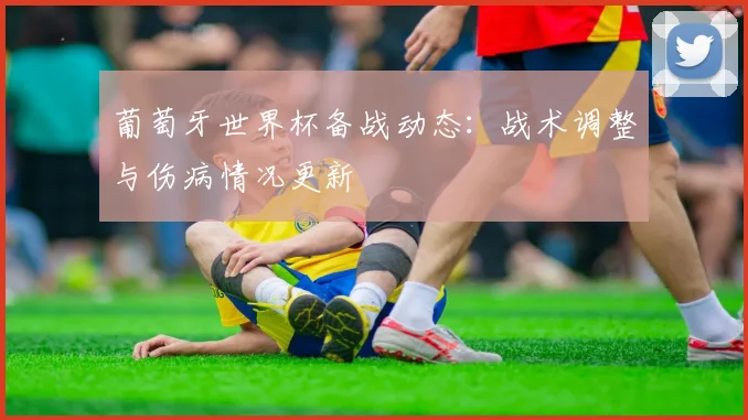 葡萄牙世界杯备战动态：战术调整与伤病情况更新