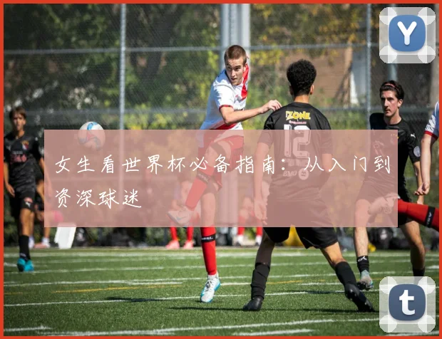 女生看世界杯必备指南:从入门到资深球迷