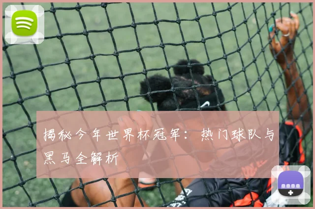 揭秘今年世界杯冠军:热门球队与黑马全解析