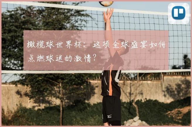 橄榄球世界杯：这项全球盛宴如何点燃球迷的激情？