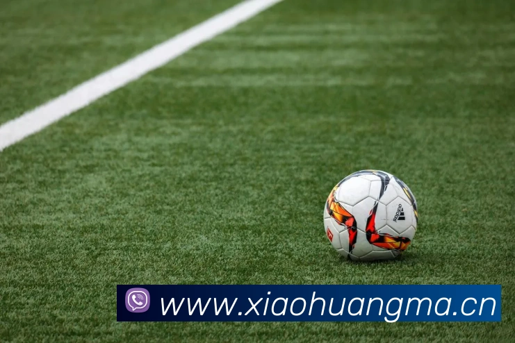 北欧两项冬奥赛况解析:2022年跳台滑雪与越野滑雪的冠军之路