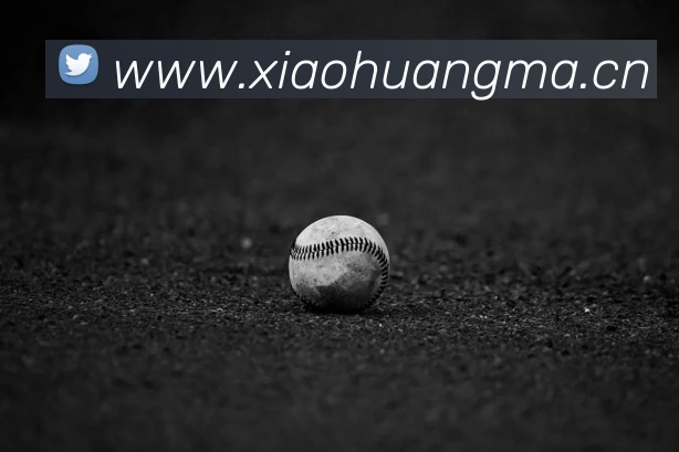 世界杯网络平台APP 封面图